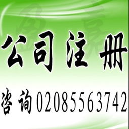 廣州工商注冊 代理記賬,公司注冊價(jià)格 廣州工商注冊 代理記賬,公司注冊型號(hào)規(guī)格