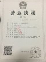 審計(jì)專(zhuān)員